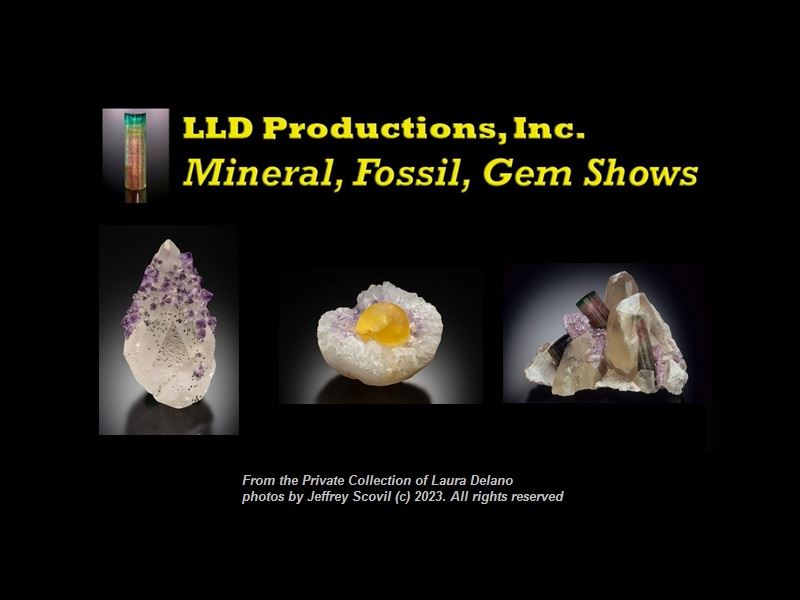 LLD Productions Mineral Fossil Gem Shows advertisement