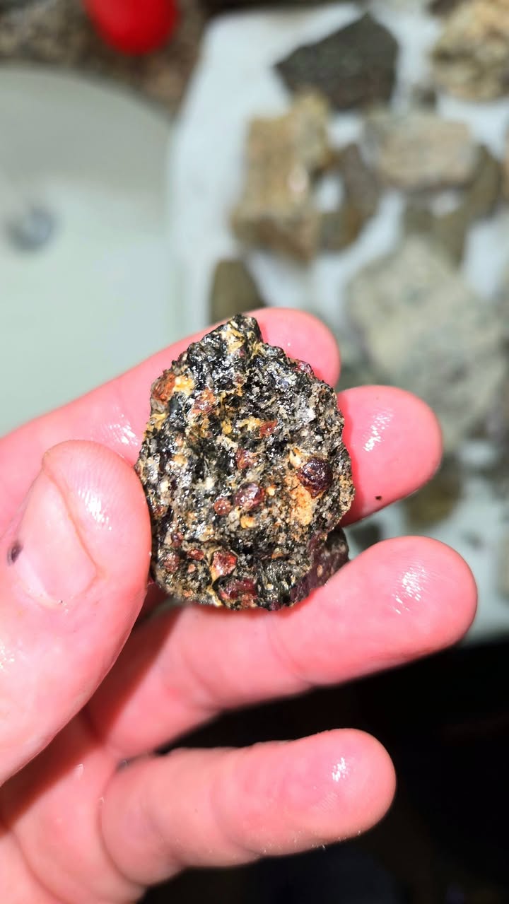 Close-up of Ed's record 1997 almandine garnet