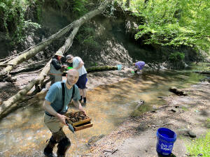 Member sifting alluvium through a screen in a shallow creek at the base of Jenny Jump