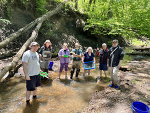 Group of WCRA members wading in a shallow creek with screens and buckets
